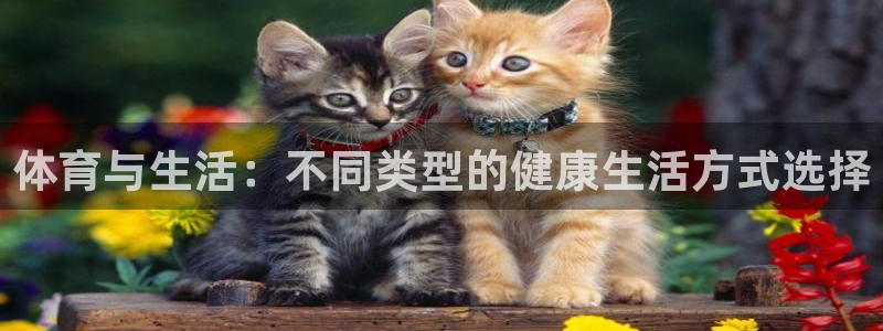熊猫体育手机版